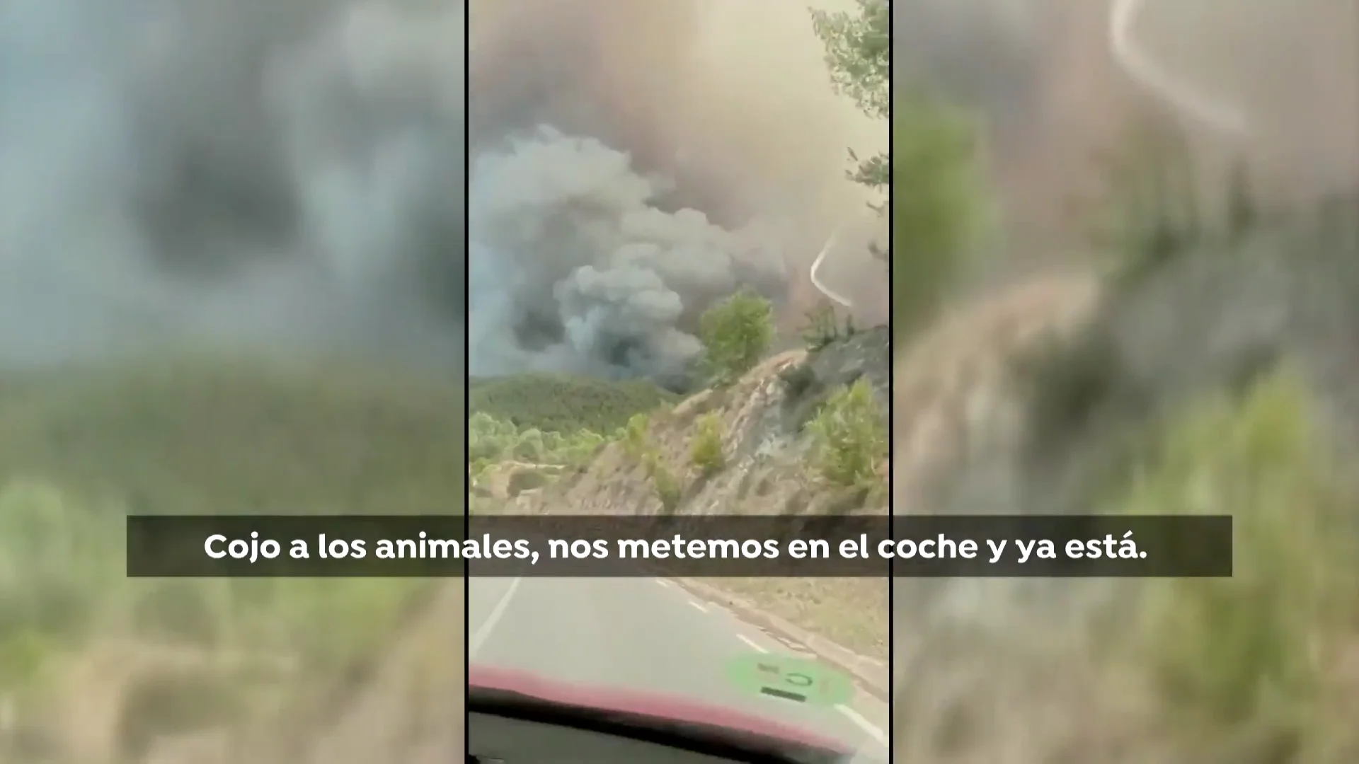 Una ni&ntilde;a grita desesperada mientras es evacuada