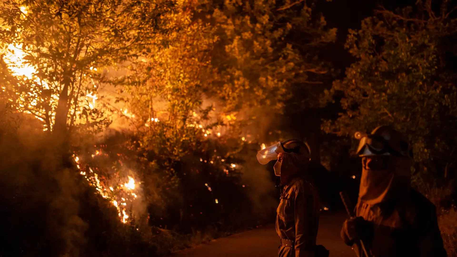 Incendio forestal Incendio forestal