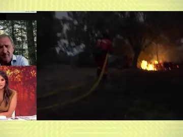 Incendios forestales. Incendios forestales.
