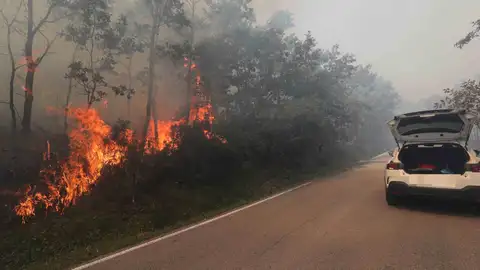 Causa de incendios Causa de incendios
