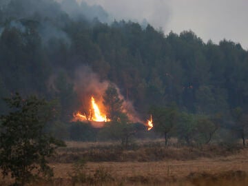 Imagen de las llamas producidas por el incendio declarado en los alrededores de Sant Fruitós de Bages