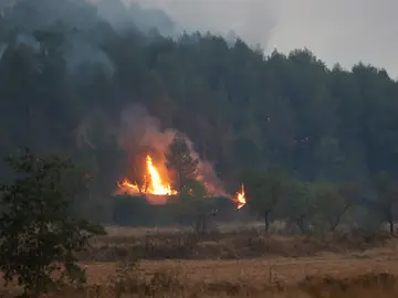 Imagen de las llamas producidas por el incendio declarado en los alrededores de Sant Fruitós de Bages