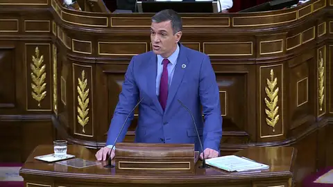 Pedro Sánchez durante el debate sobre el estado de la Nación Estado de la Nación