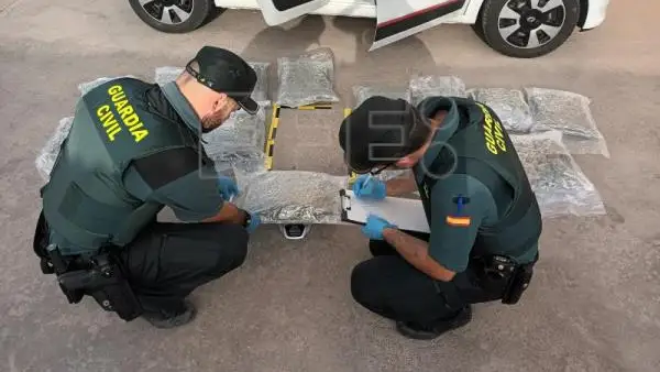 Hallan 16 kilos de marihuana en el veh&iacute;culo de un portacoches