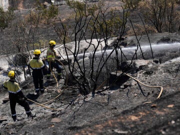WWF culpa de los incendios de España al "dramático abandono" de usos del monte y a la crisis climática 