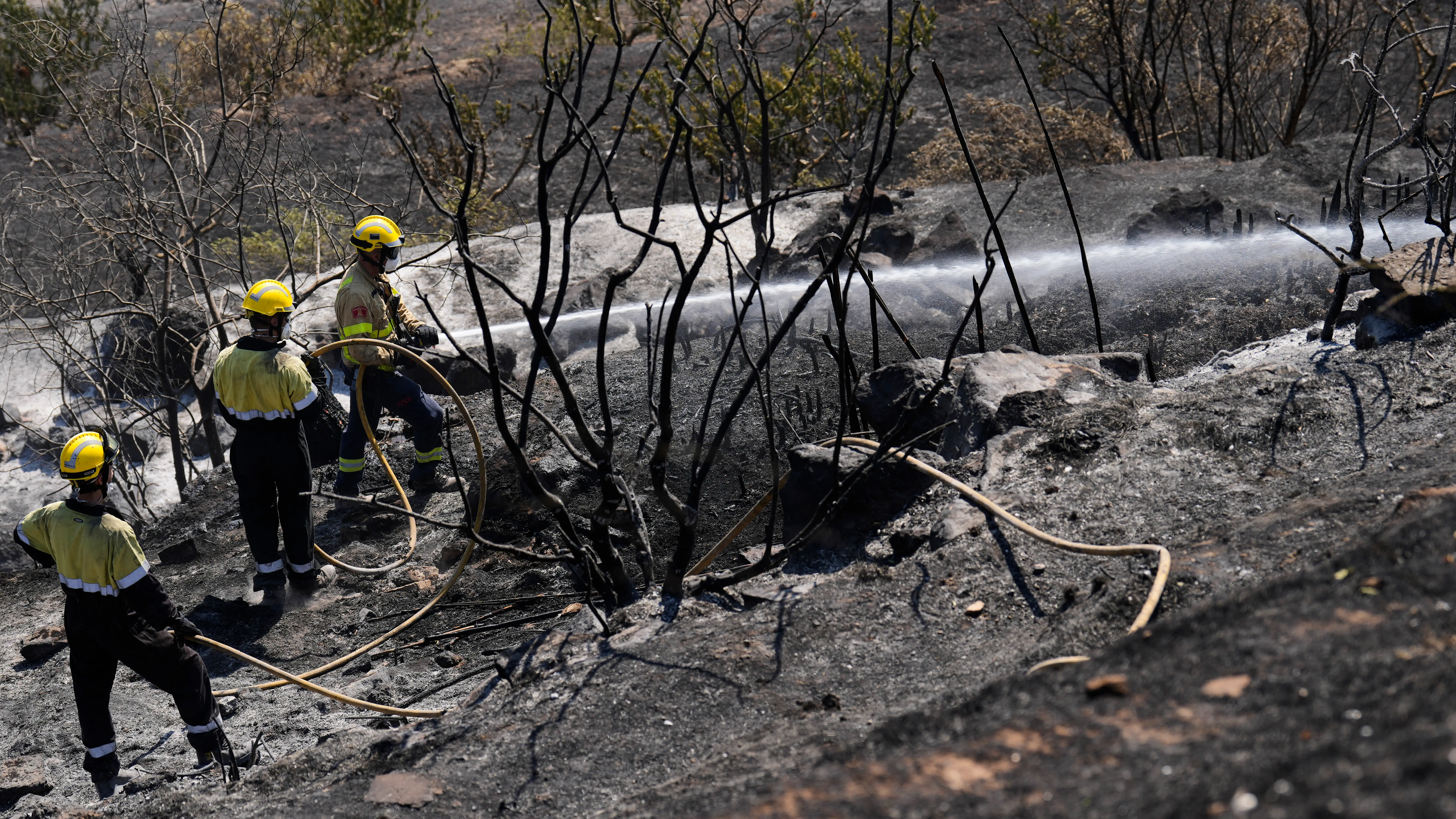 WWF culpa de los incendios de España al "dramático abandono" de usos del monte y a la crisis climática WWF culpa de los incendios de España al "dramático abandono" de usos del monte y a la crisis climática