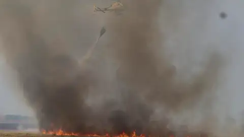 Cómo actuar en caso de incendio forestal Cómo actuar en caso de incendio forestal