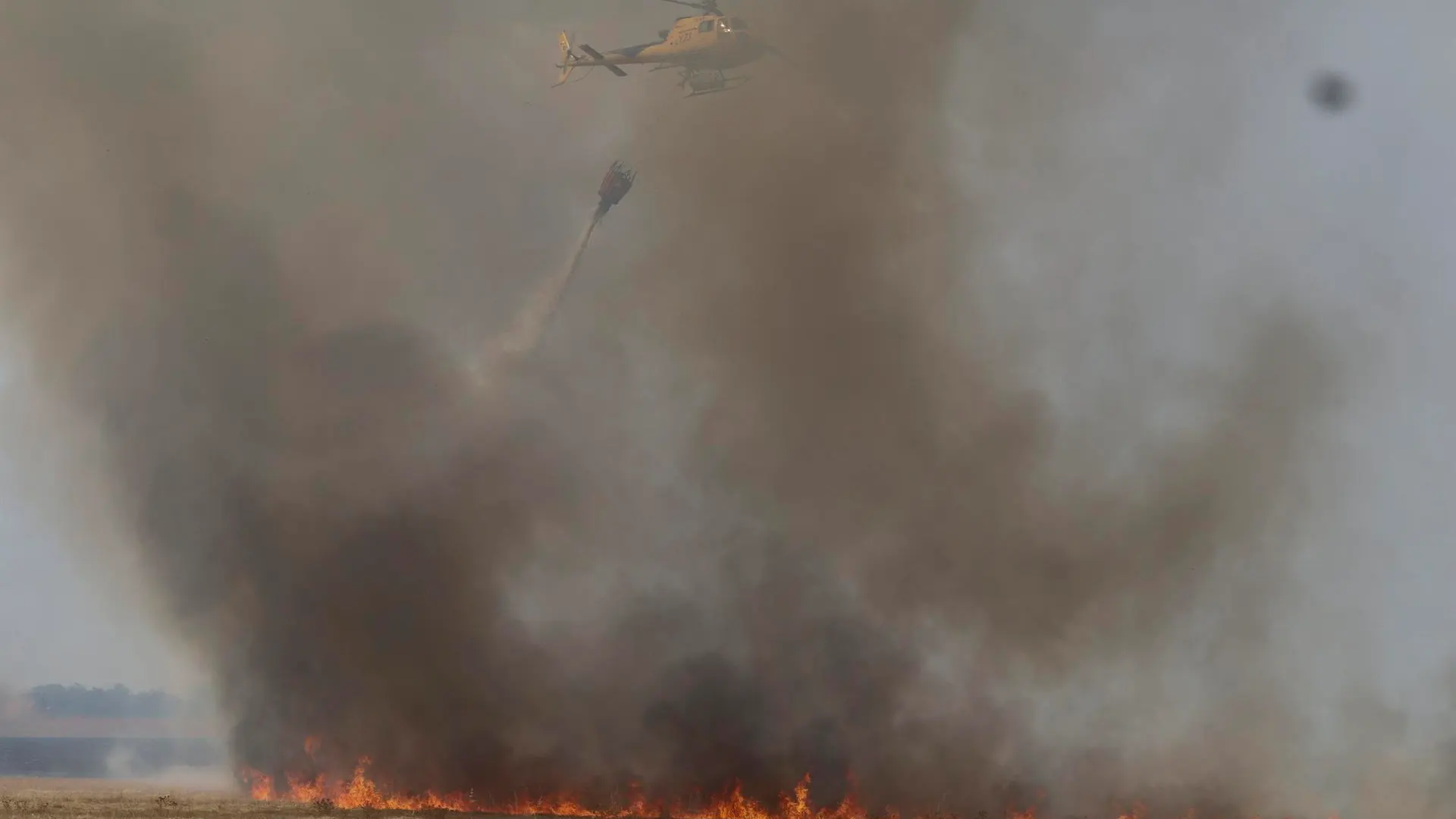 C&oacute;mo actuar en caso de incendio forestal