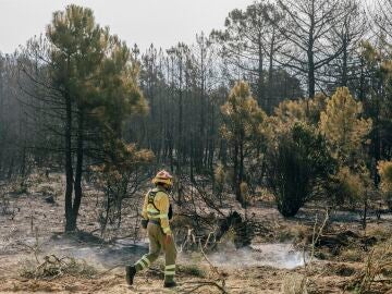 Incendios en la provincia de Ávila