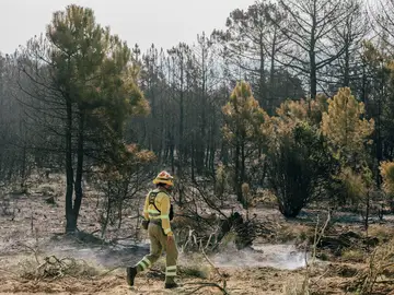 Incendios en la provincia de Ávila Incendios en la provincia de Ávila