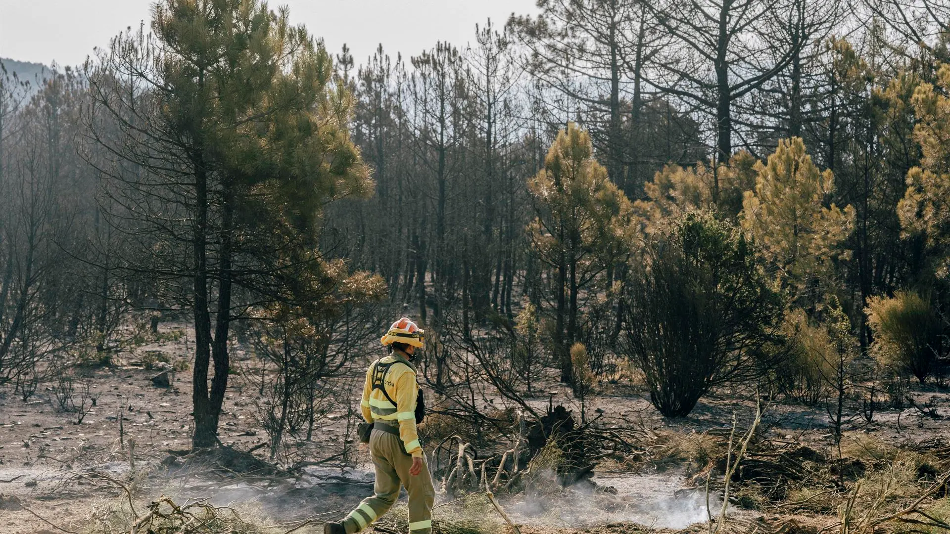 Incendios en la provincia de &Aacute;vila