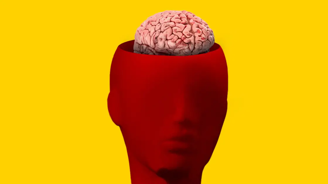 El 22 de julio se celebra el Día mundial del cerebro 2022 El 22 de julio se celebra el Día mundial del cerebro 2022