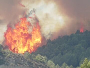 Los incendios de este año son más rápidos y más virulentos