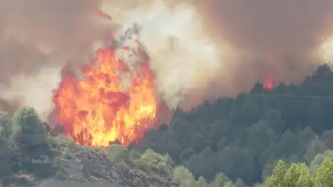 Los incendios de este año son más rápidos y más virulentos Los incendios de este año son más rápidos y más virulentos