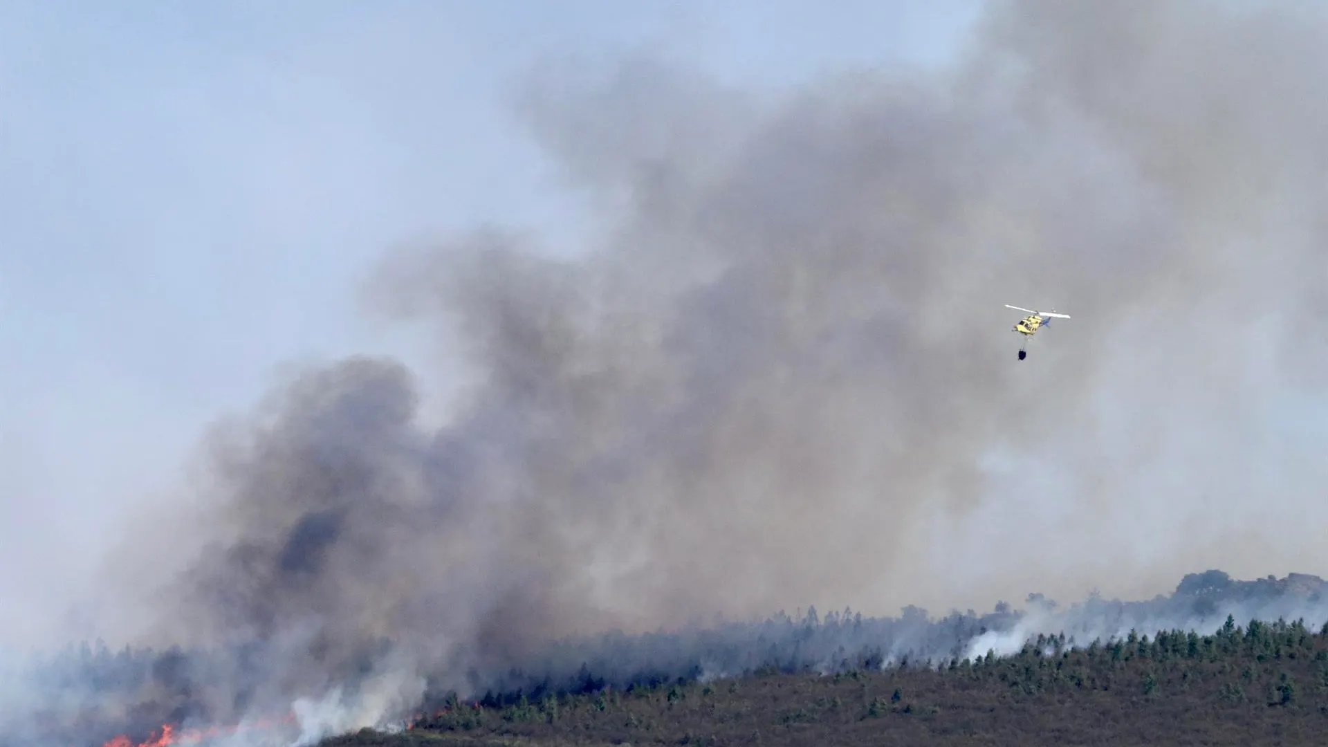 Vista del incendio forestal en la comarca de T&aacute;bara (Zamora)