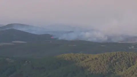 Incendios en Guadalajara Incendios en Guadalajara