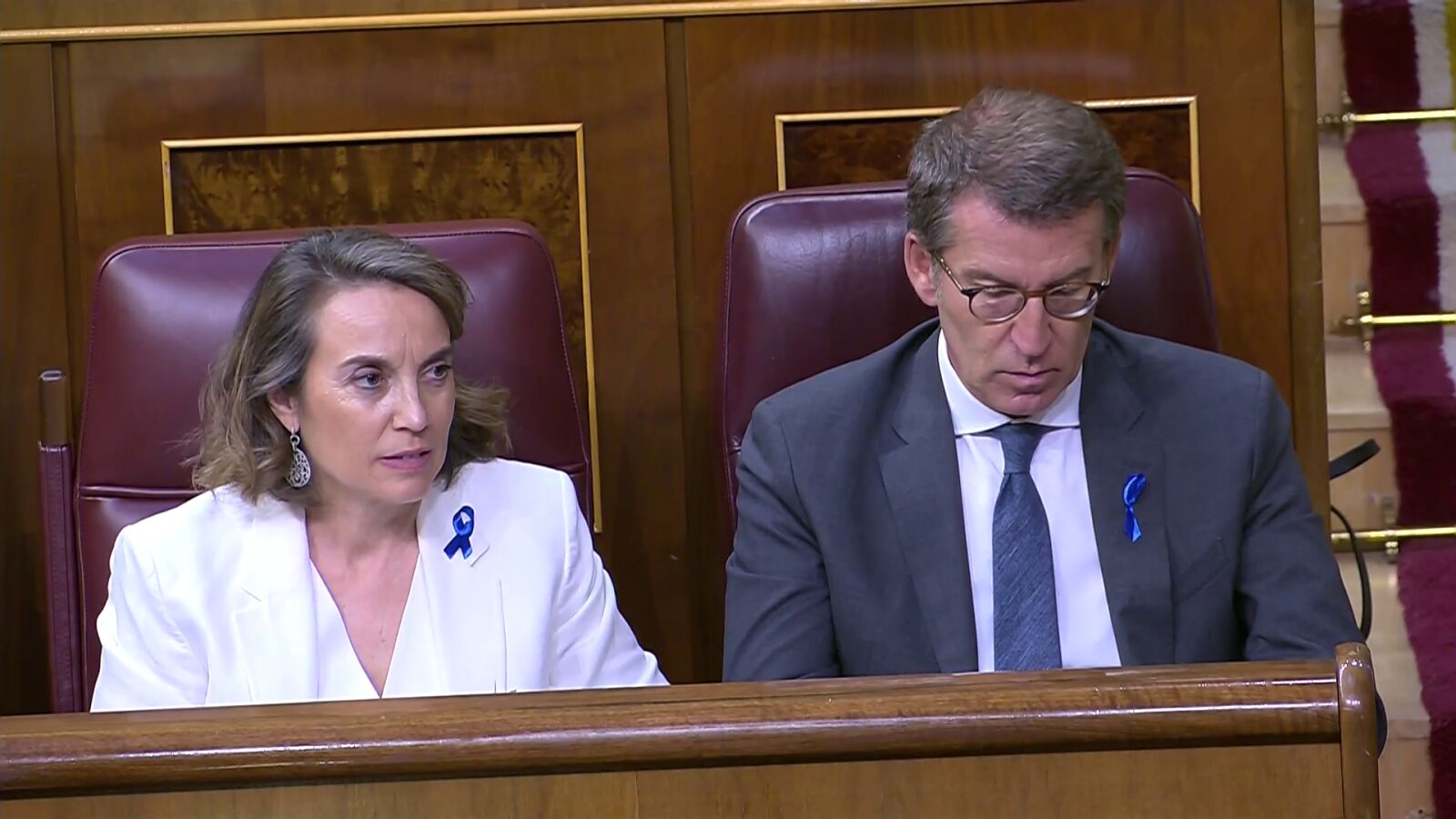 El PP se sitúa por primera vez a la cabeza en intención de voto, según el CIS