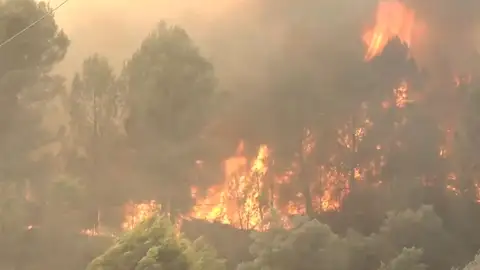 Imágenes del incendio en la comarca del Bages Imágenes del incendio en la comarca del Bages