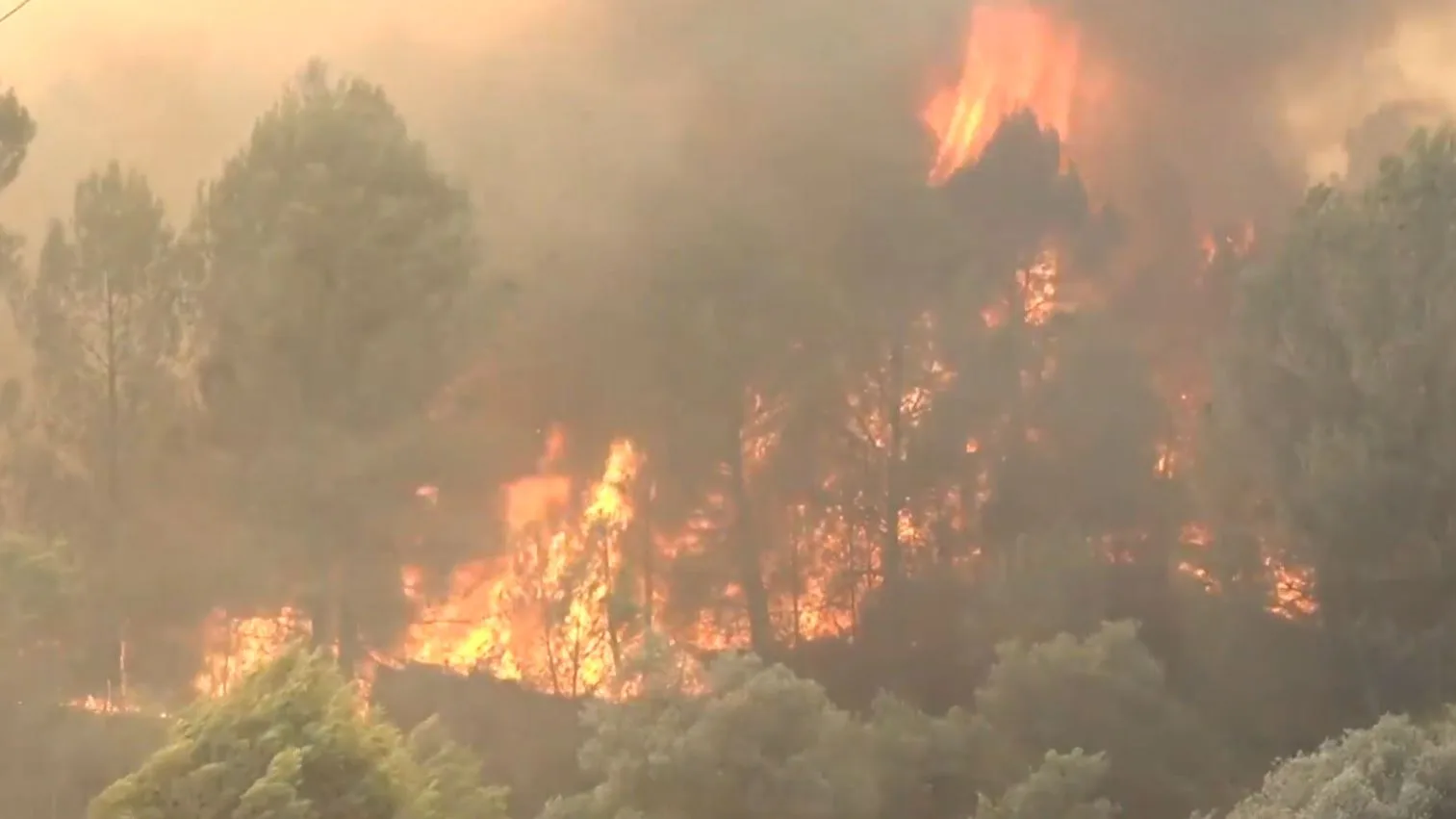 Im&aacute;genes del incendio en la comarca del Bages