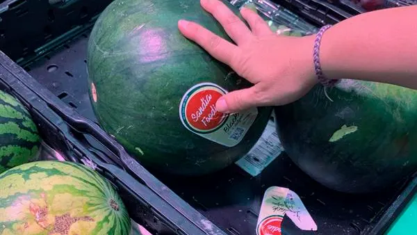 Sandías en un establecimiento Sandías en un establecimiento