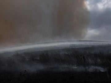 Monte totalmente calcinado tras un incendio en Lugo