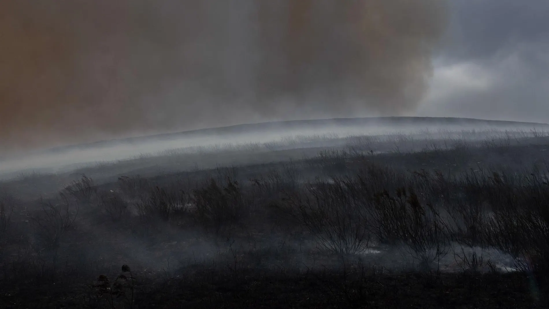 Monte totalmente calcinado tras un incendio en Lugo