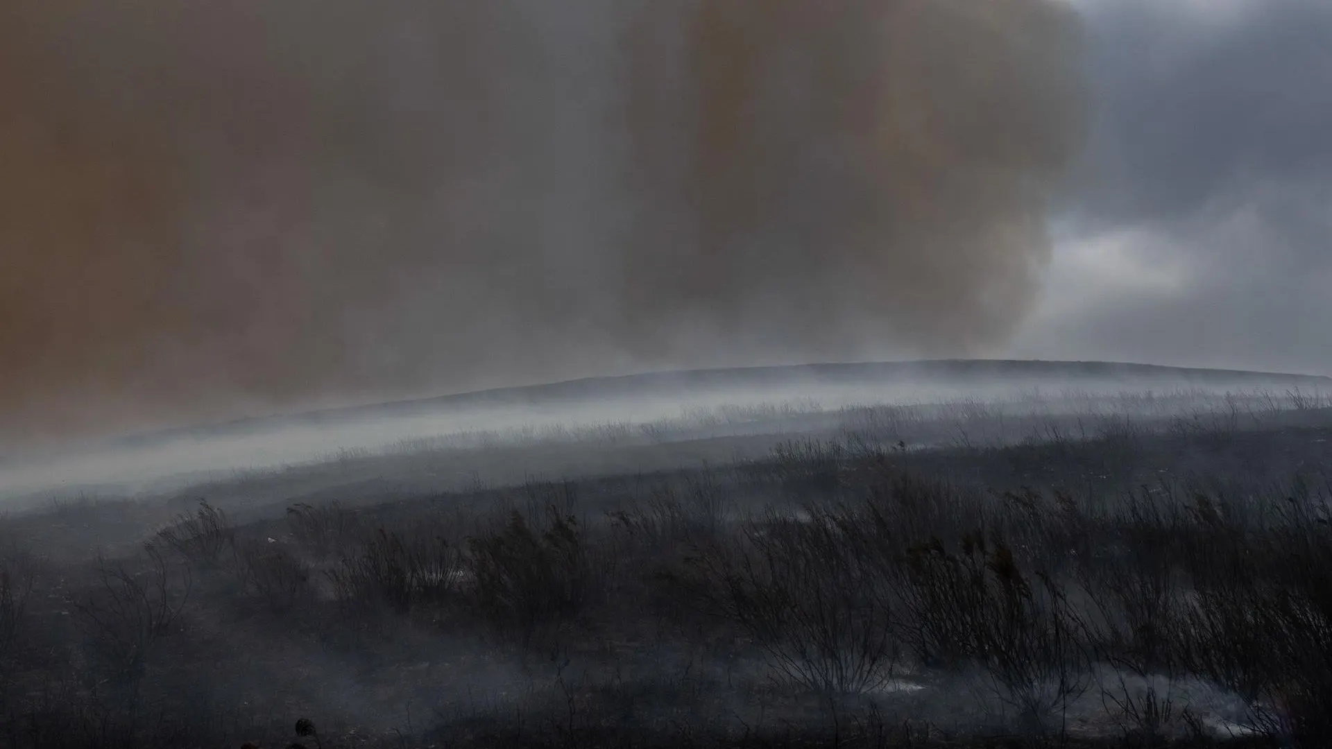 Monte totalmente calcinado tras un incendio en Lugo Monte totalmente calcinado tras un incendio en Lugo
