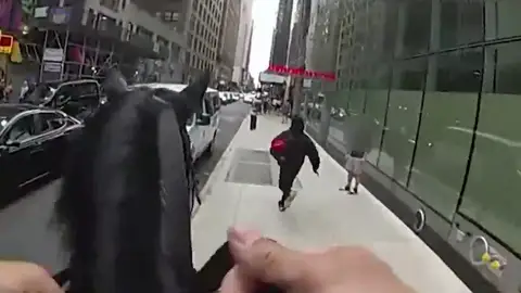 Increíble persecución a caballo en EEUU Increíble persecución a caballo en EEUU