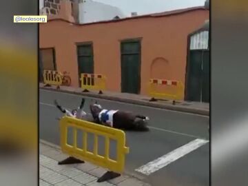 Caída de un caballo en Santiago de Gáldar