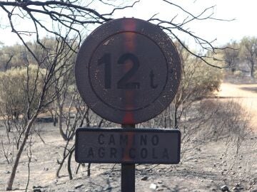 Carreteras cortadas por los incendios forestales en España