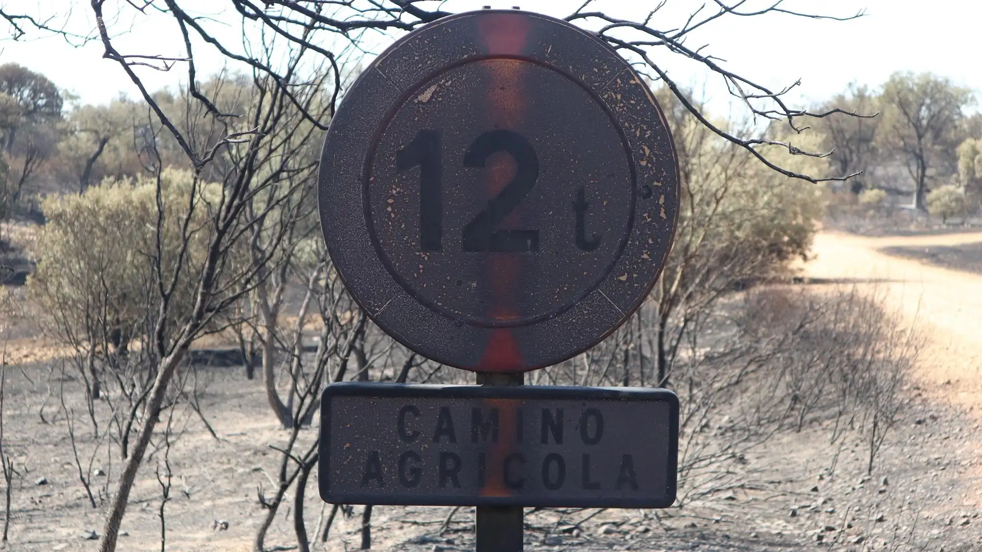 Carreteras cortadas por los incendios forestales en España Carreteras cortadas por los incendios forestales en España