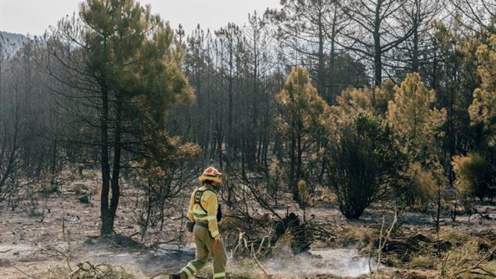 El incendio de Ávila se estabiliza pero aún tiene pequeñas reproducciones de las llamas