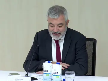 Luis Garicano, ya ex eurodiputado de Ciudadanos Luis Garicano, ya ex eurodiputado de Ciudadanos