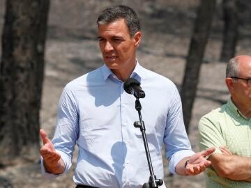 Pedro Sánchez en la localidad de Ateca (Zaragoza), afectada por los incendios