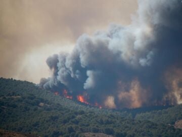 Incendio en Ateca (Zaragoza)