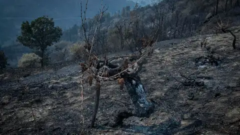 Superficie afectada por el incendio forestal de O Barco de Valdeorras, que ya ha arrasado 10.500 hectáreas Superficie afectada por el incendio forestal de O Barco de Valdeorras, que ya ha arrasado 10.500 hectáreas