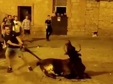 Maltrato animal durante la celebración del toro embolado en Albarracín (Teruel)