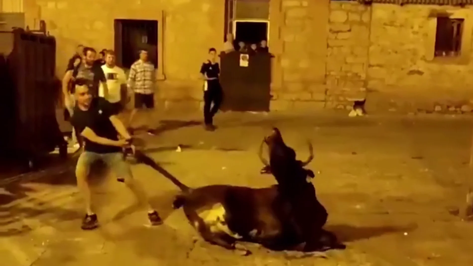 Maltrato animal durante la celebración del toro embolado en Albarracín (Teruel)