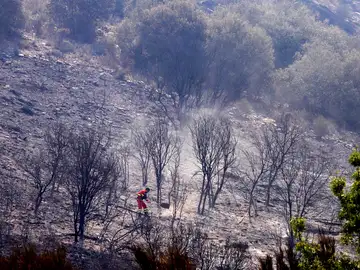 Un brigadista trabaja en las labores de extinción de un incendio en Galicia