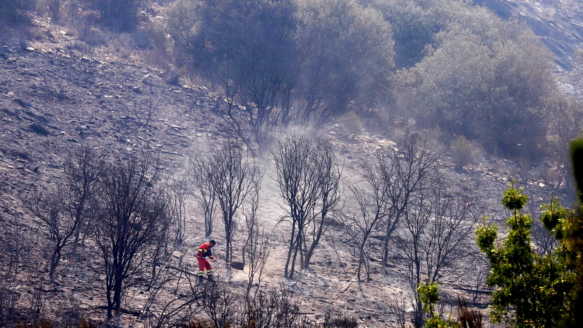 Un brigadista trabaja en las labores de extinción de un incendio en Galicia Un brigadista trabaja en las labores de extinción de un incendio en Galicia