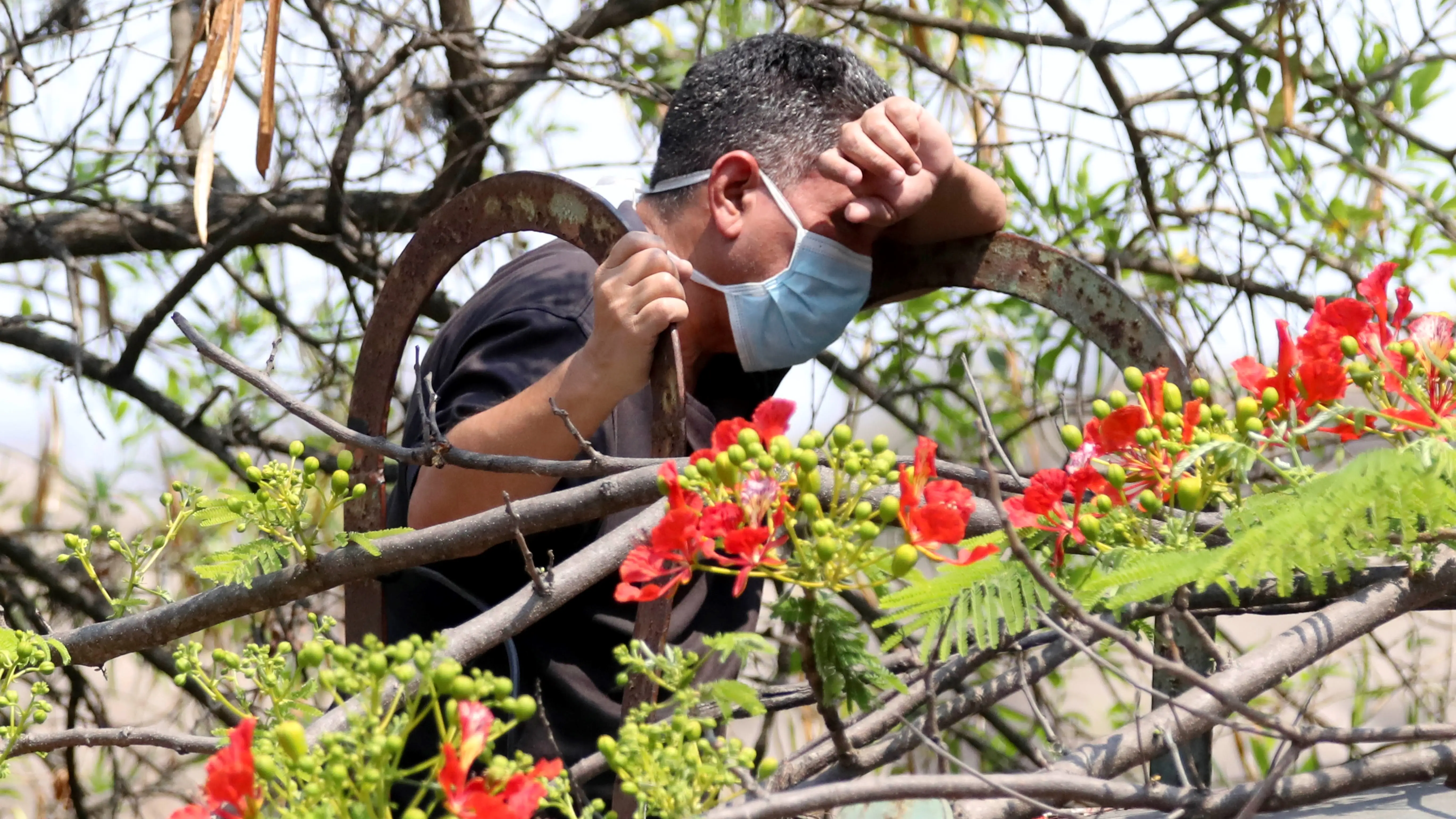 Un estudio revela que las olas de calor afectan a la salud mental Un estudio revela que las olas de calor afectan a la salud mental