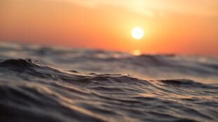 Las aguas del Mediterr&aacute;neo c&aacute;lidas se traducen en m&aacute;s noches tropicales