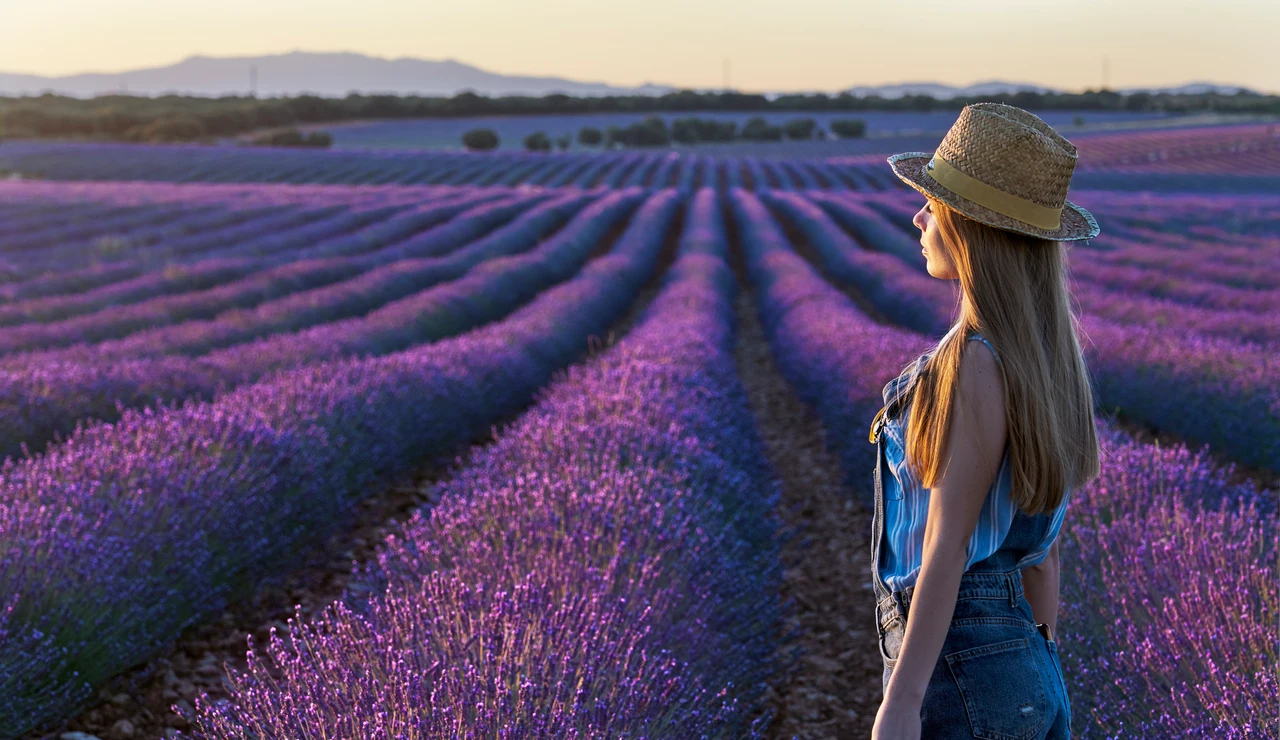 Chica visitando los campos de lavanda de Brihuega