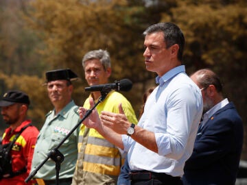 Pedro Sánchez, en su visita al incendio de Ateca, en Zaragoza