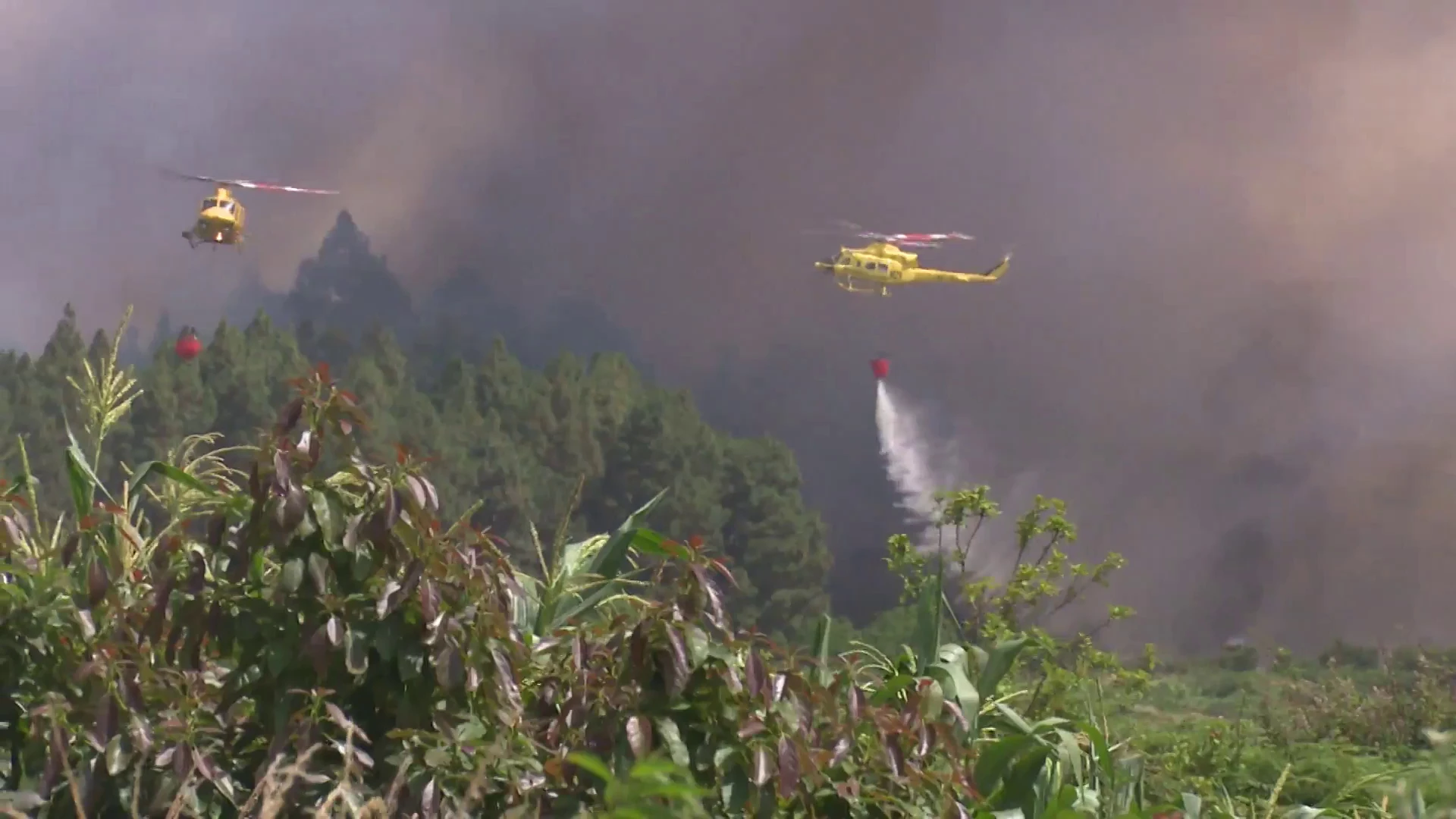 Efectivos contra incendios en Tenerife