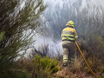 Incendios forestales en España, últimas noticias en directo Incendios forestales en España, últimas noticias en directo