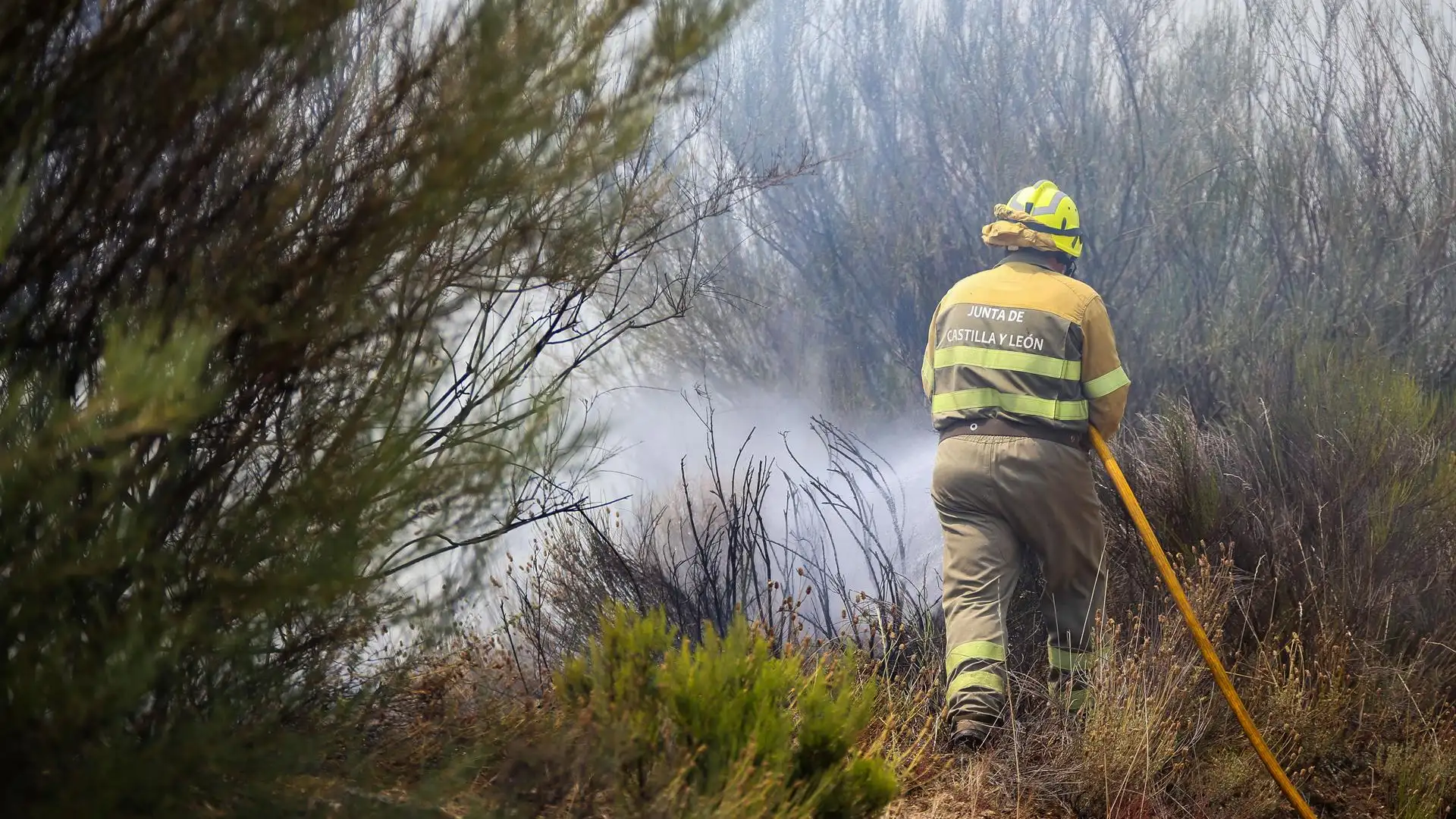 Incendios forestales en Espa&ntilde;a, &uacute;ltimas noticias en directo