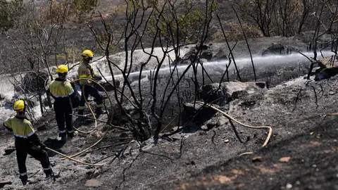 El perfil del pirómano El perfil del pirómano