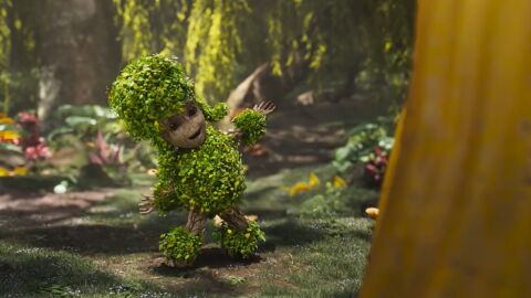 'I Am Groot'