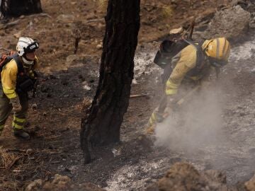 Incendios en España: Última hora hoy, en directo